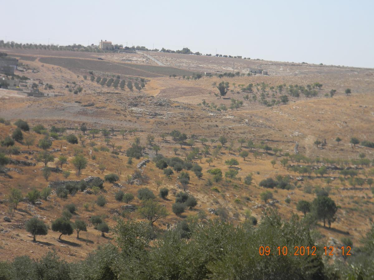 Town Of Mount Nebo Villa Madaba Exterior photo