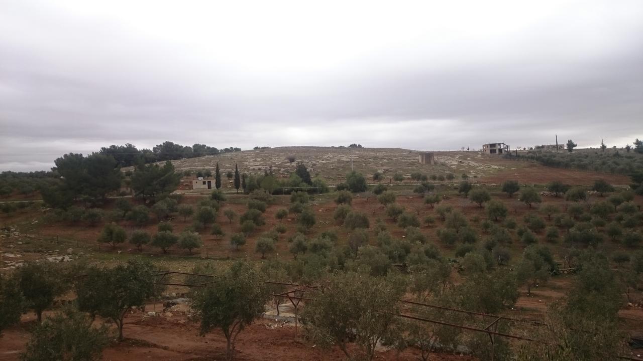 Town Of Mount Nebo Villa Madaba Exterior photo