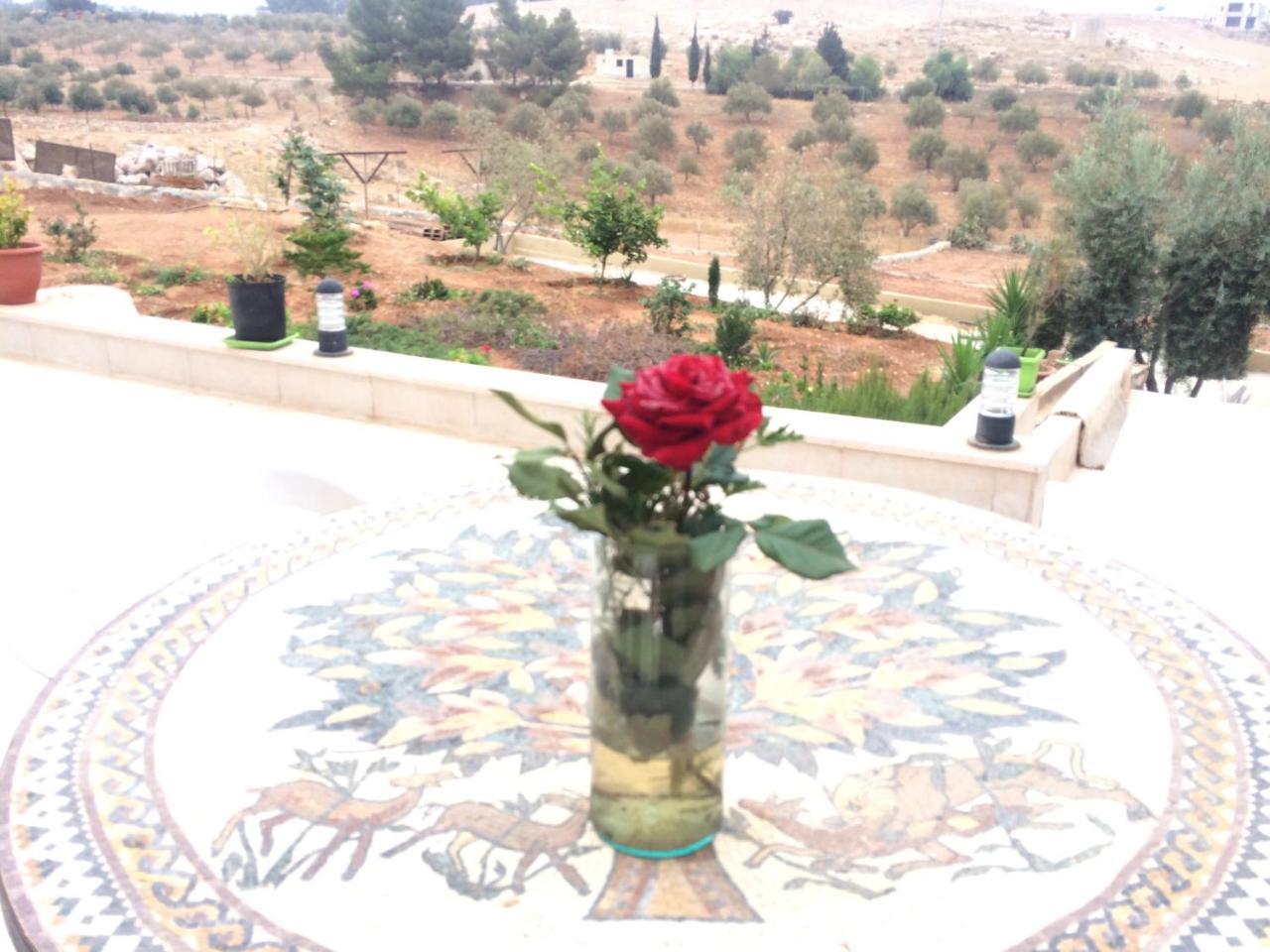 Town Of Mount Nebo Villa Madaba Exterior photo